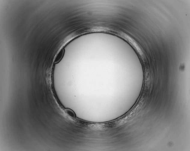 X0000103450810200810031434