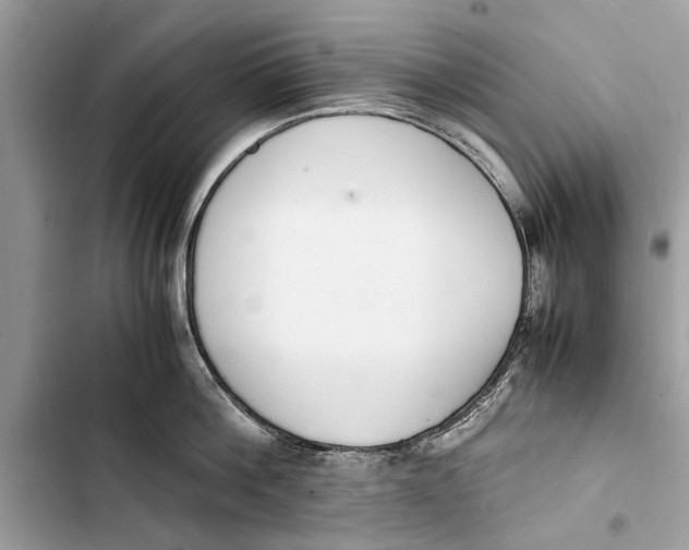 X0000103450812200810031434