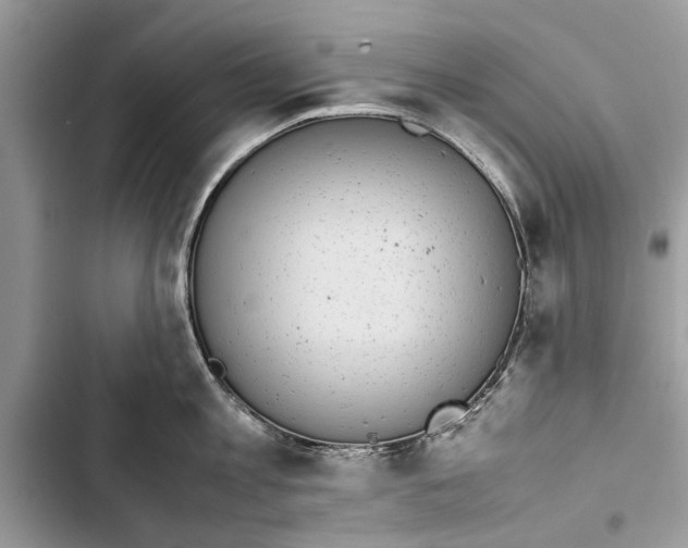 X0000103450813200810031434