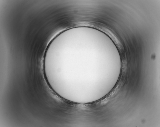 X0000103450814200810031434