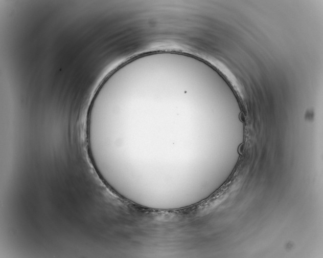 X0000103450815200810031434