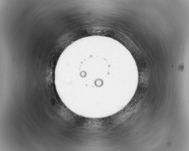 X0000103450820200810031433