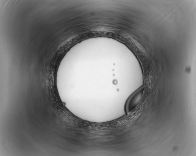 X0000103450821200810031433