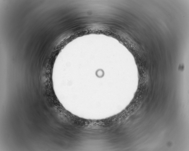 X0000103450824200810031433