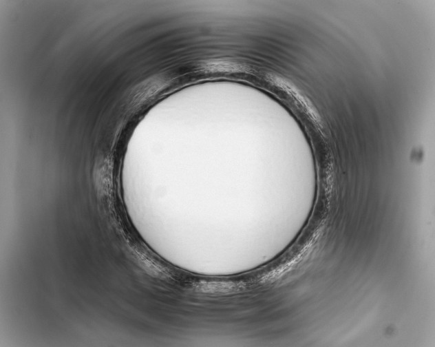 X0000103450825200810031433