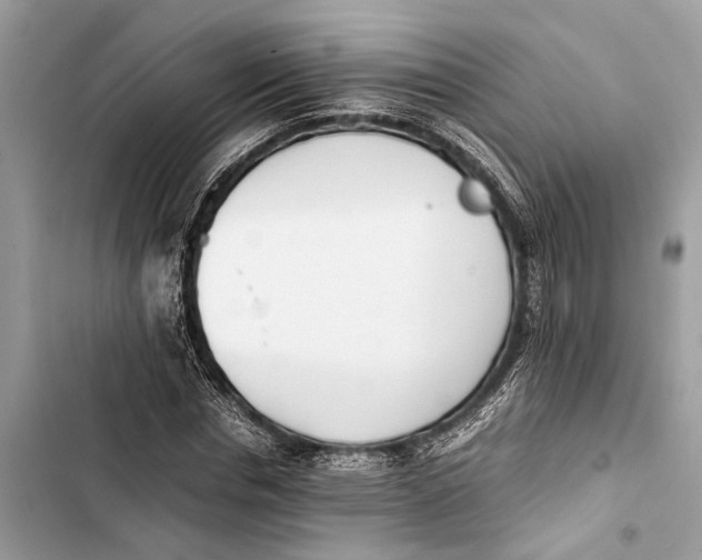 X0000103450826200810031433