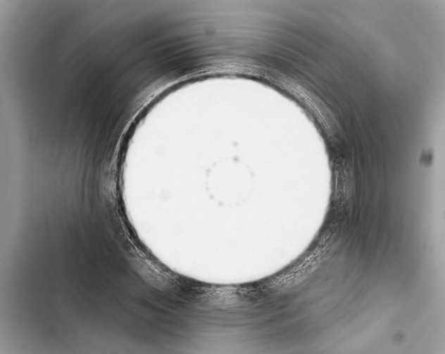 X0000103450828200810031433