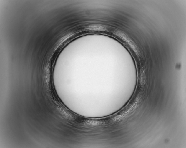 X0000103450829200810031433