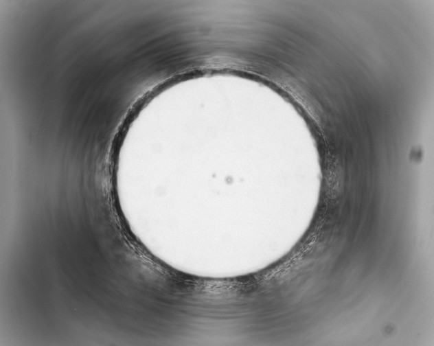 X0000103450832200810031433