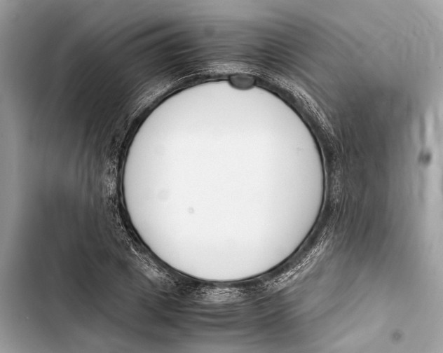 X0000103450833200810031433