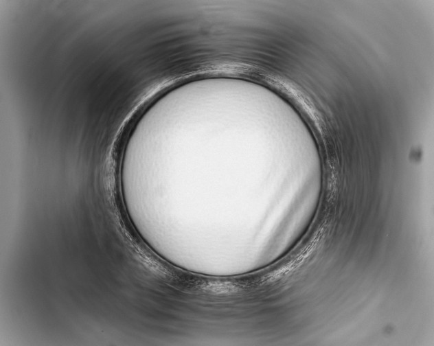 X0000103450835200810031433