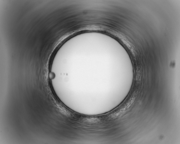 X0000103450837200810031433