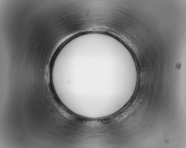 X0000103450838200810031433