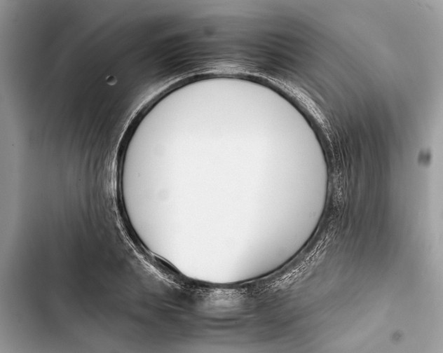 X0000103450839200810031433