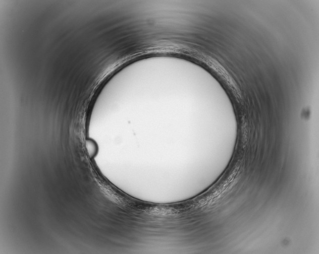 X0000103450842200810031434