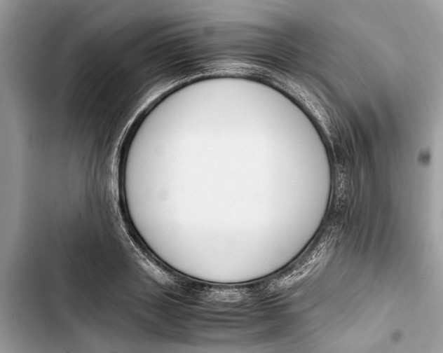 X0000103450843200810031434