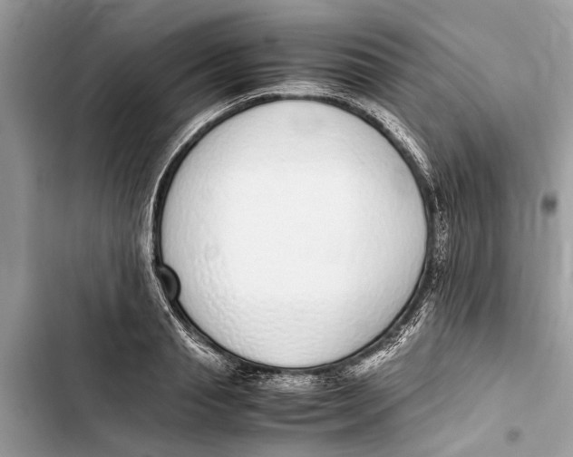 X0000103450845200810031434