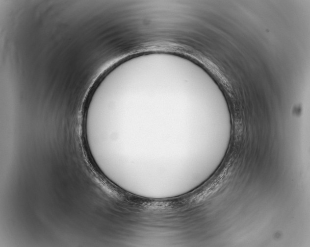 X0000103450846200810031434