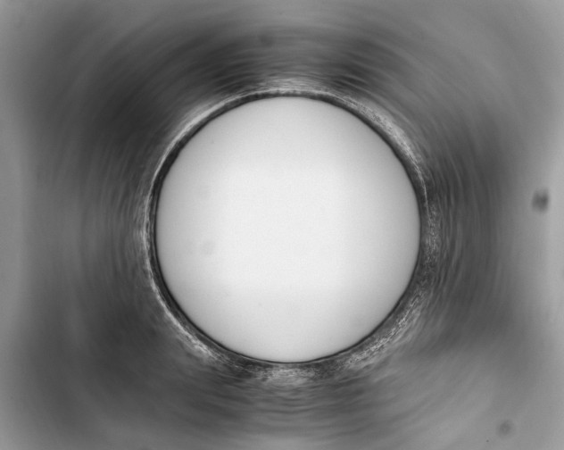 X0000103450847200810031434