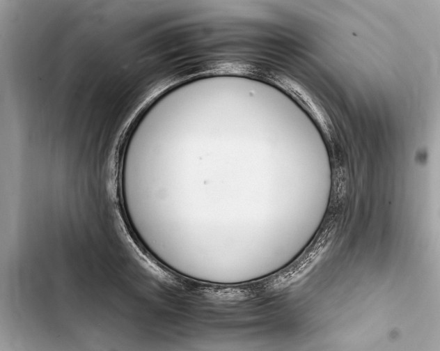 X0000103450851200810031434