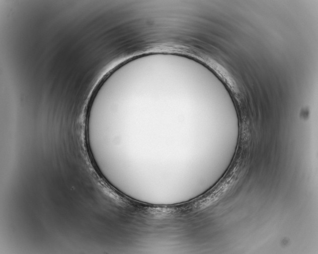 X0000103450854200810031434