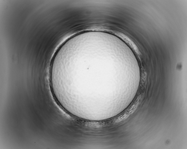 X0000103450855200810031434