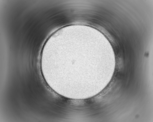 X0000103450856200810031434