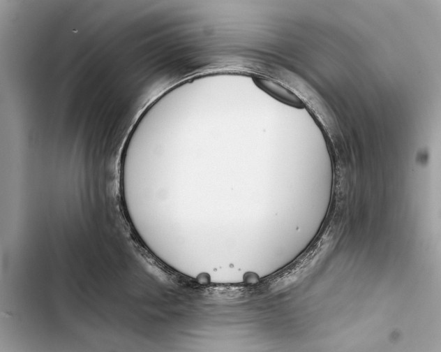 X0000103450858200810031434