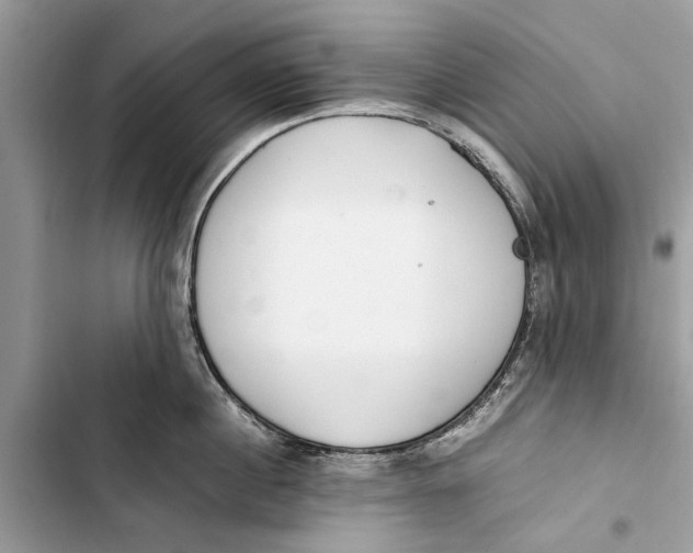 X0000103450860200810031434