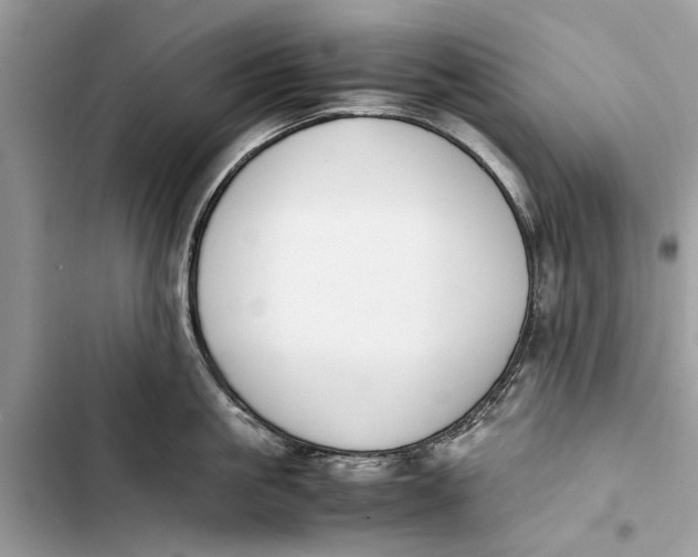 X0000103450861200810031434