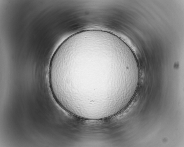 X0000103450863200810031434