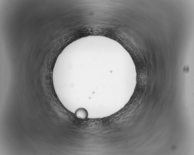 X0000103450865200810031433