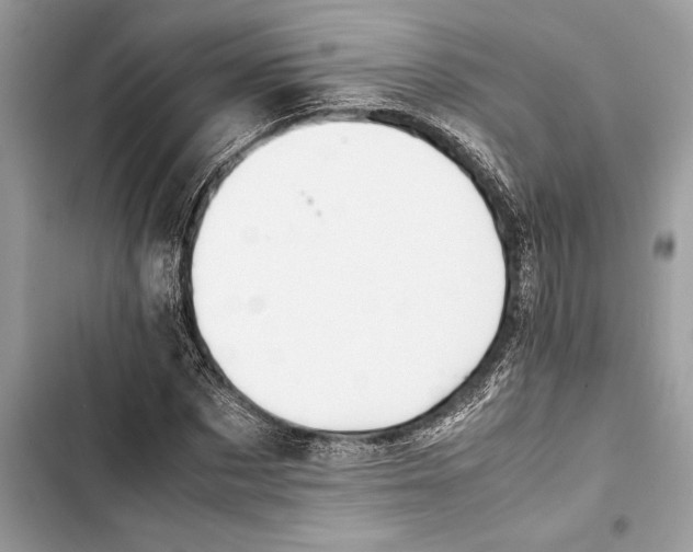 X0000103450873200810031433