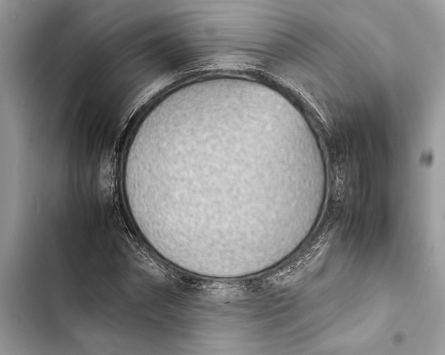 X0000103450874200810031433