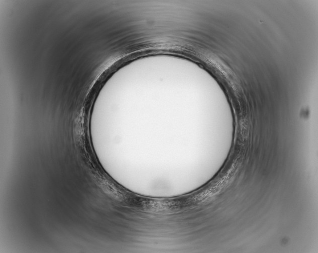 X0000103450875200810031433