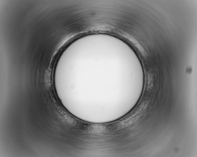 X0000103450878200810031433