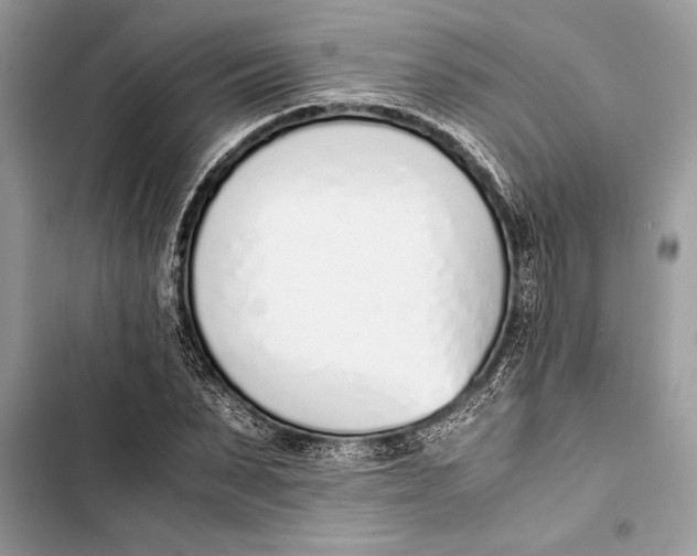 X0000103450879200810031433