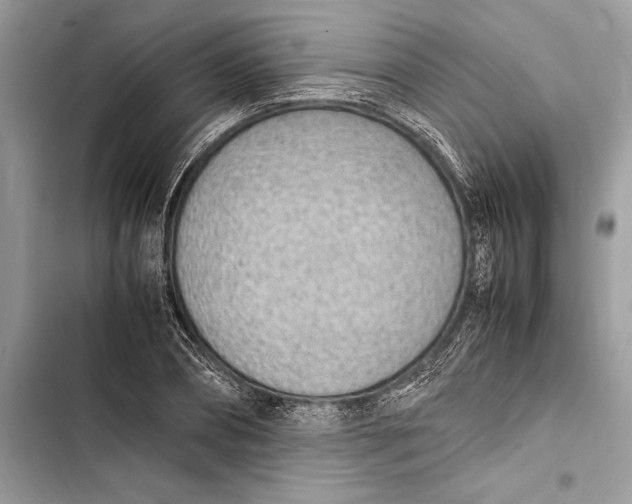 X0000103450882200810031433