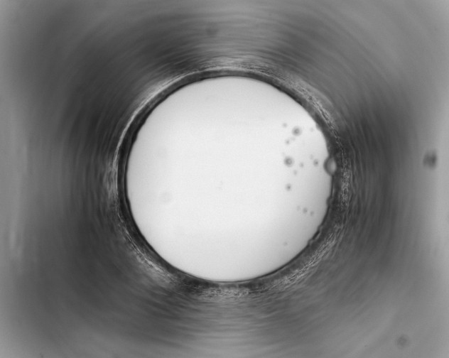 X0000103450884200810031433