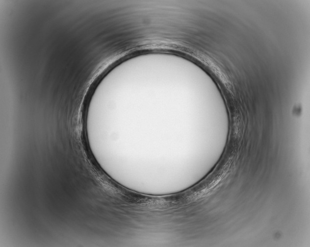 X0000103450885200810031433