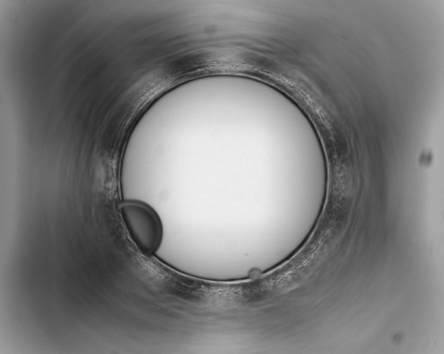 X0000103450889200810031433