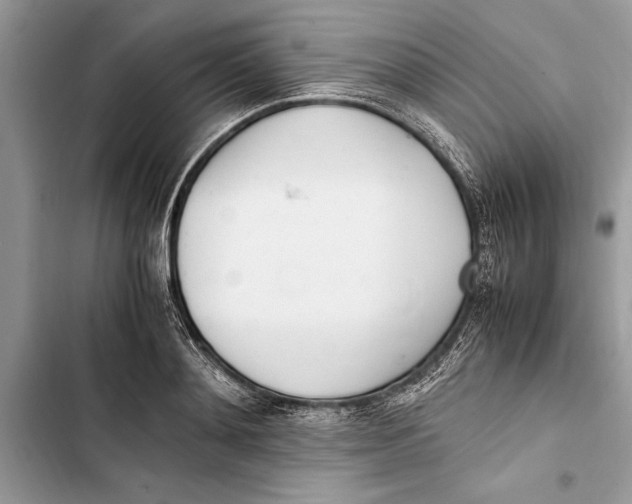 X0000103450892200810031433