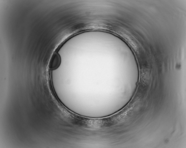 X0000103450893200810031433