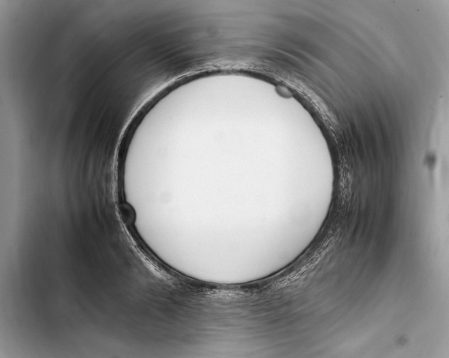 X0000103450894200810031433