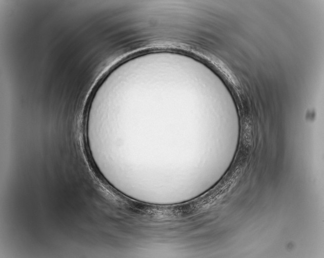 X0000103450895200810031433