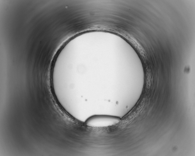 X0000103450896200810031433