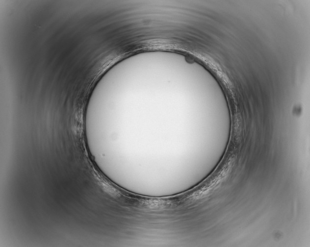 X0000103450897200810031433