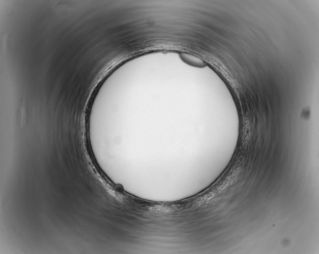 X0000103450898200810031433