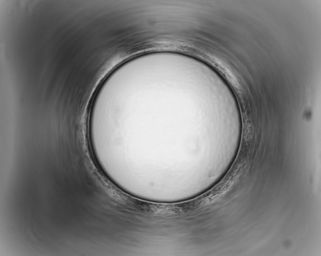 X0000103450899200810031433