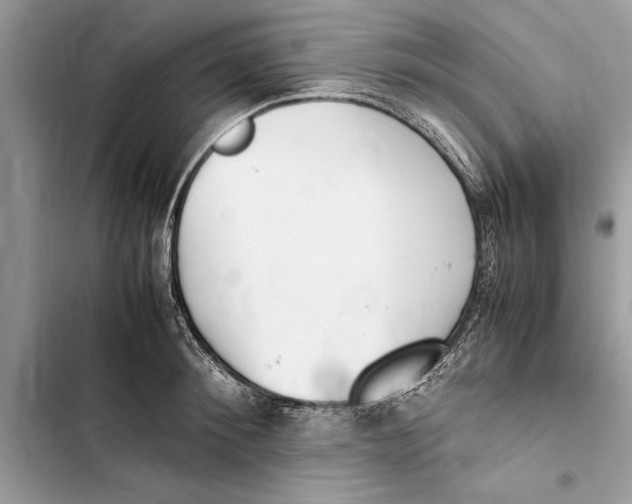 X0000103450900200810031433